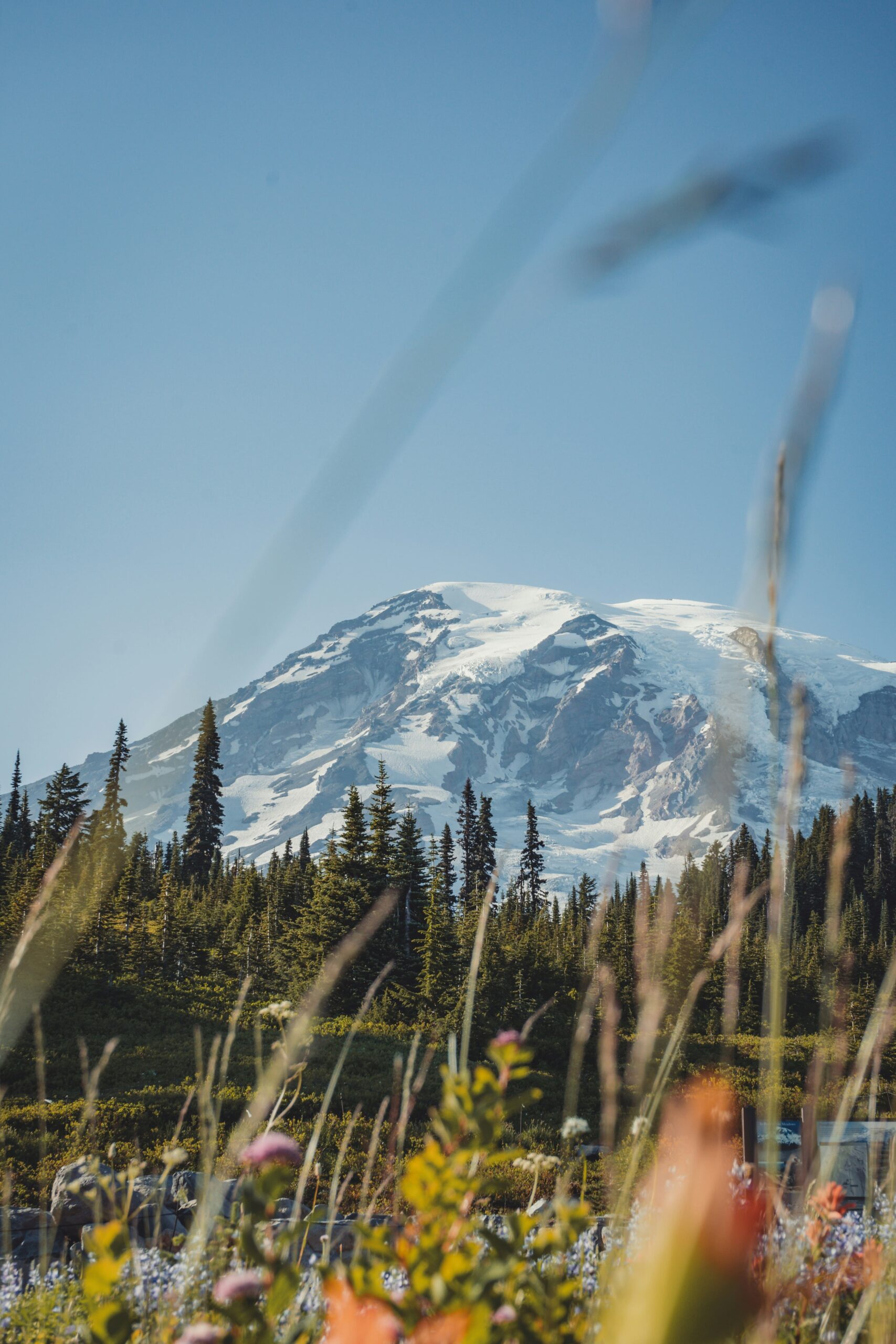 Washington